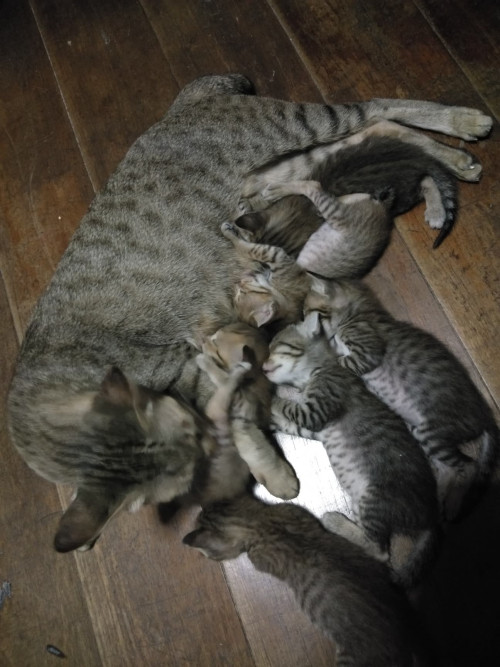 36818947 10156867799711535 4747246950204571648 n