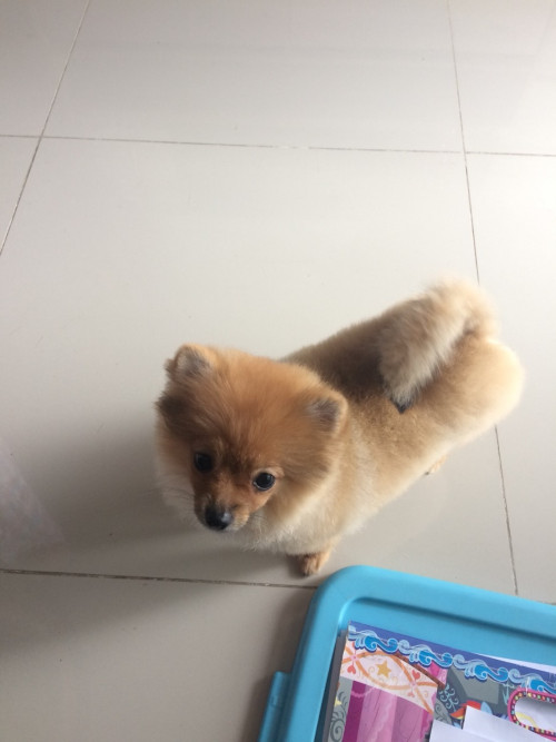 แสนดี 180720 0002