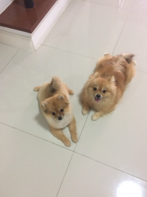 แสนดี 180720 0012