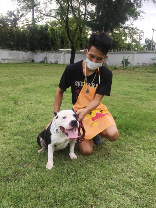 37649299 251080585682662 8348027675813609472 n