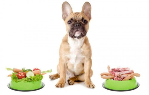 healthy food for dogs min min1