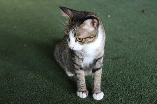 38658528 2135833879992746 7908196254172053504 n