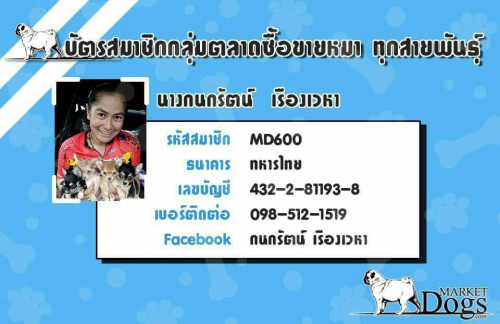 38747211 1553160944788805 2016898706418171904 n