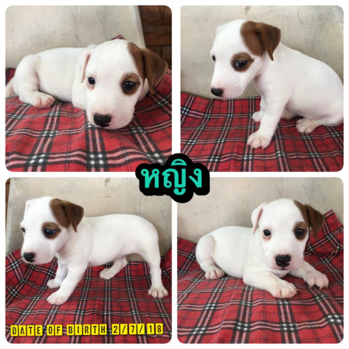 38794492 2045552252427801 6889885518612398080 n