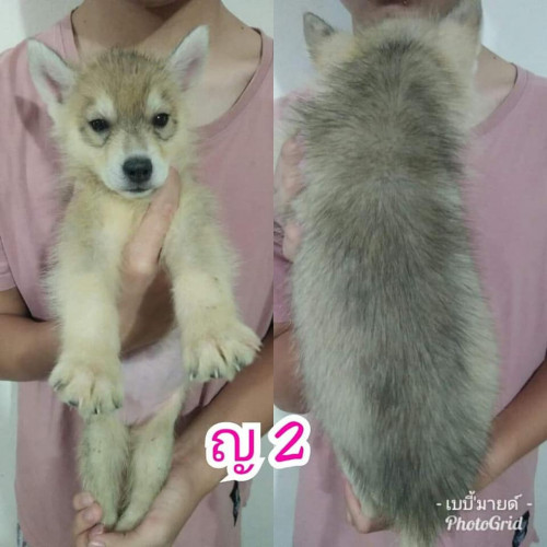 38938778 821816534875671 4584711051123097600 n