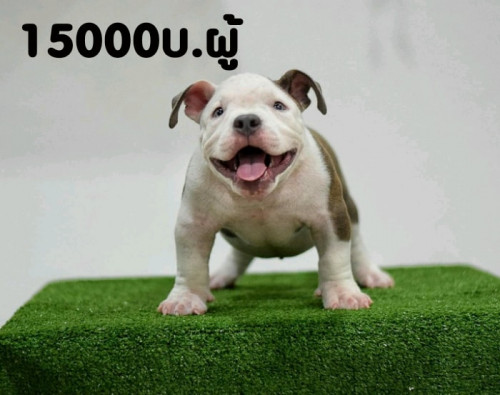 38997017 307860593114370 7030878338478505984 n