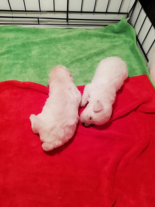 39047760 145077929731026 7524206747477606400 n