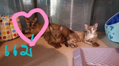 39127319 1808831839213357 8628502195727237120 n