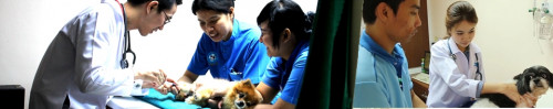 service_banner20131224030049.jpg