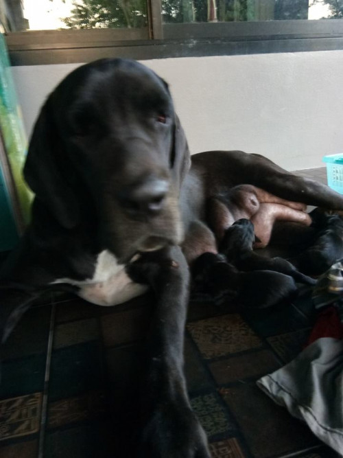 39453463 1119375158221594 6840330606857945088 n