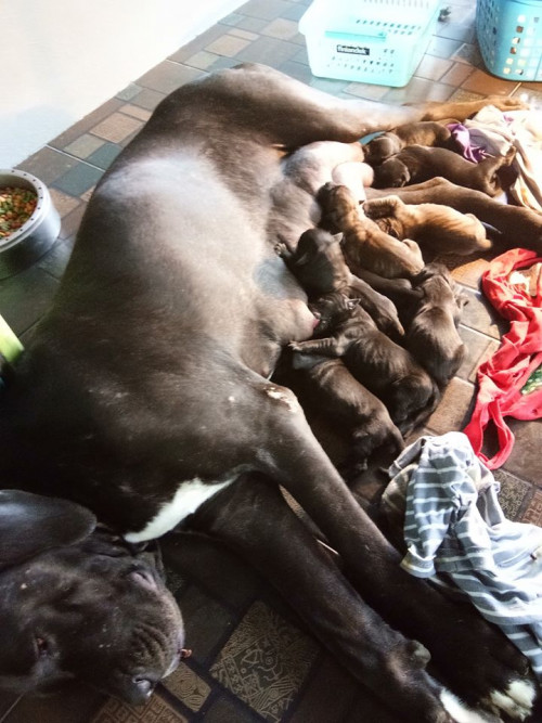 39526397 1119375358221574 7762385129539895296 n