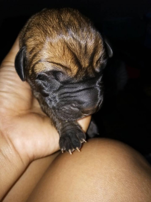 39558202 1119375048221605 1407537727238307840 n