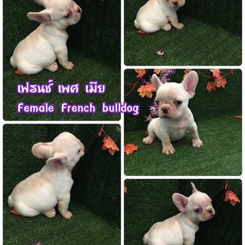 39572464 2050683151618011 878208356903288832 n