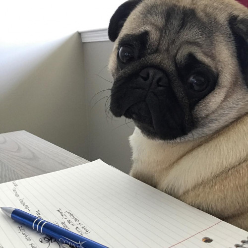 23596334 1988675214744138 9068801107379093504 n