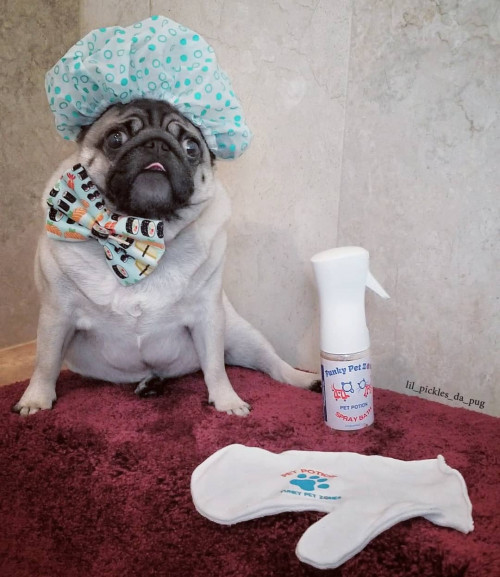 29715520 228470727891093 7106947676784033792 n