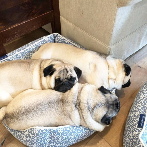 30591663 187908261833536 8466423749317492736 n