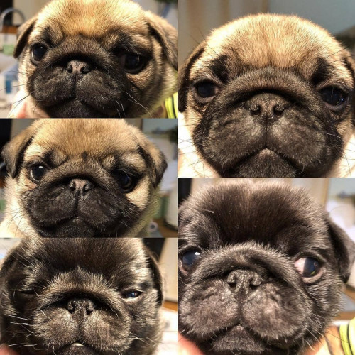 31905508 2135063156775754 3415133727766872064 n