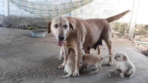 41331407 305699323528441 251540012435243008 n