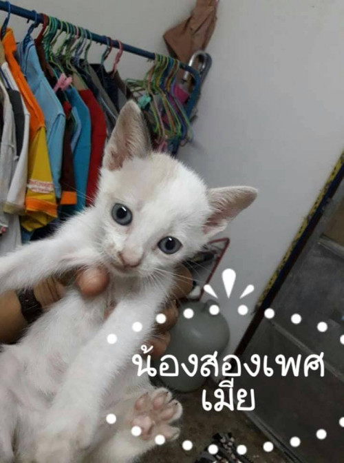 41423520 250442072281974 8733133800990572544 n