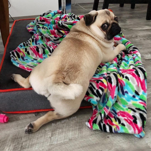 37069152 256266458297668 2815797696177111040 n