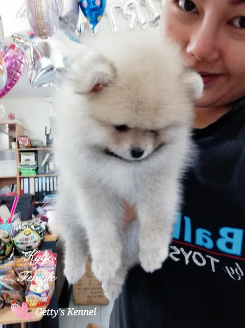 41676281 10155944122122903 7348000444234334208 n