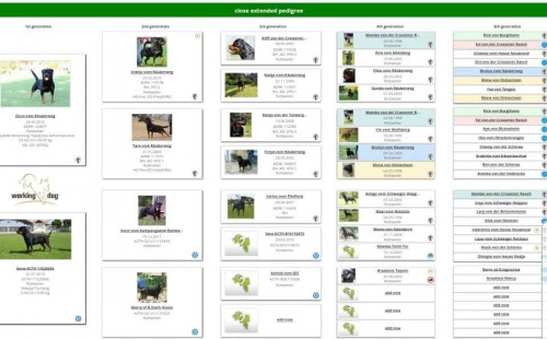 40265986 652961501751985 5911578379030626304 n