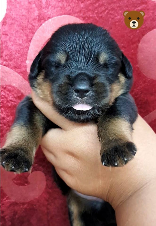 42145032 474185793093823 730482080584040448 n