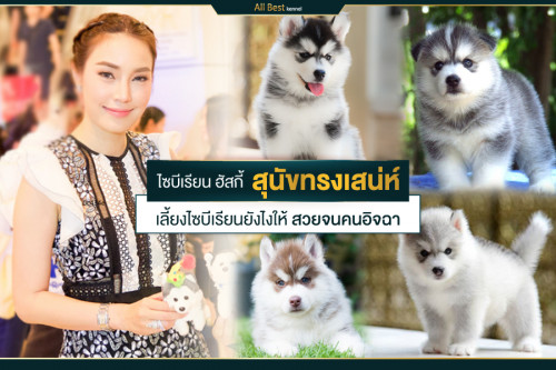 Banner 17.1 ไม่มีลายน้ำ
