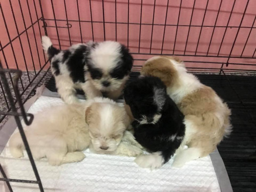 42194208 473257323188875 6623788062419714048 n