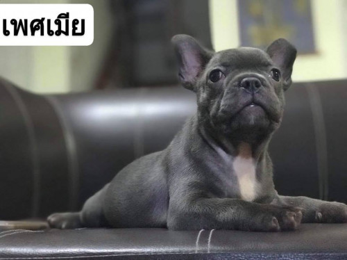 42356589 833354376835085 4480731907226599424 n