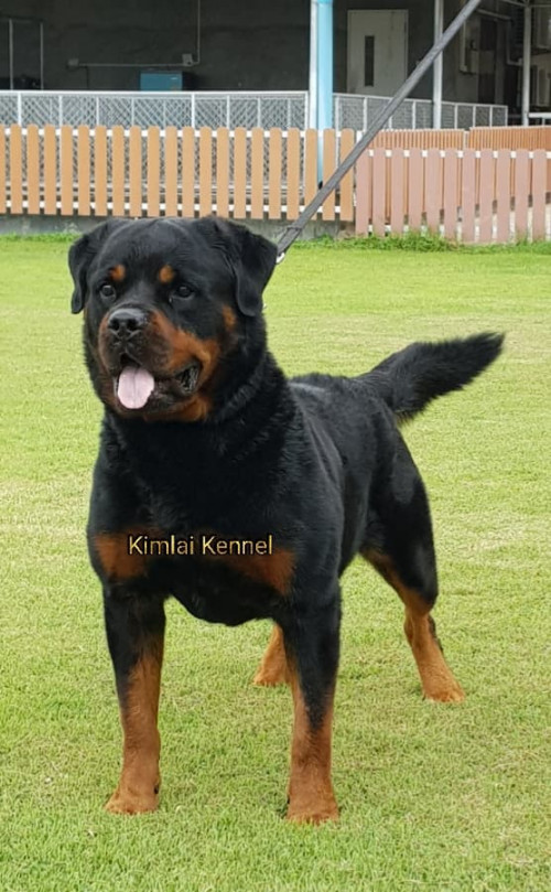 37815625 290720071678641 1752427277599113216 n