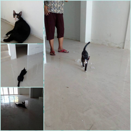 42791035 1841453212628895 8039681850395852800 n