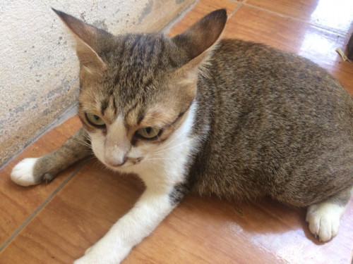 42981097 2172961542946646 490859932380299264 n