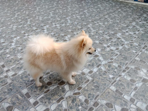 43133233 1773302362774922 3113944932771954688 n