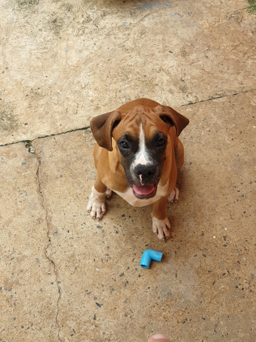 43574646 2098348846865295 4821190365597925376 n