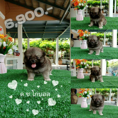 44188870 484960678653524 7875255577293619200 n