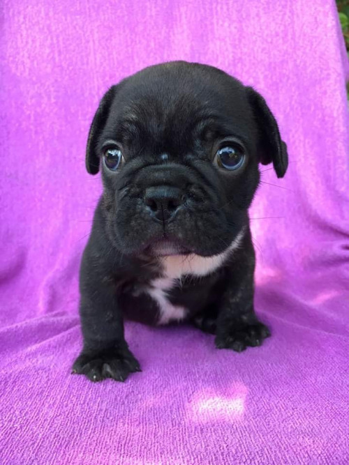 44197845 1181516525357673 9132410170033307648 n