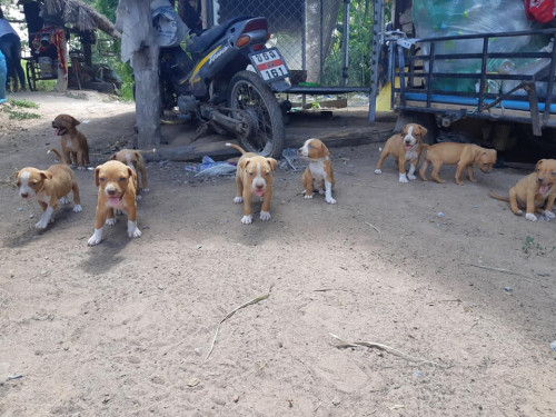 44277318 459104261245421 4312559275885985792 n