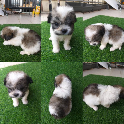 44307011 2206513702960558 3397427909772705792 n