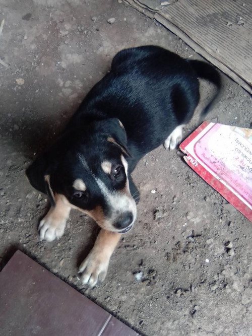 44197840 934005810133519 3856162899823165440 n