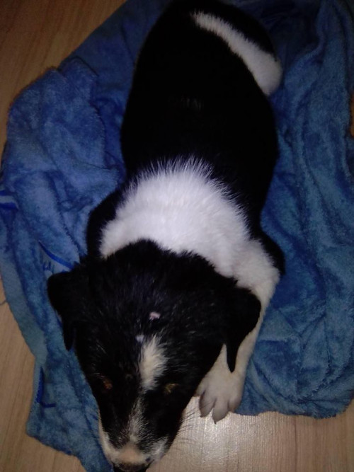 44243203 934005853466848 4726841109609709568 n