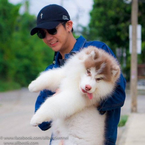 นิก คุณาทิป