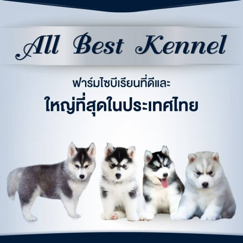 25289173 1743356049032615 5791735192775211687 n