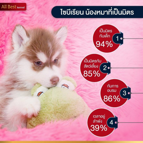 27072629 1786806874687532 682535617416568058 n