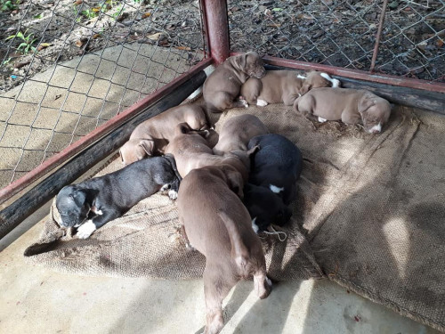 44512397 570516346716288 381158268547891200 n