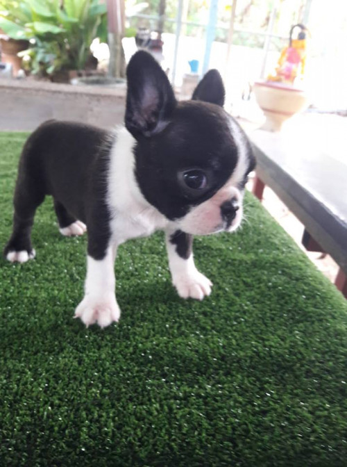 44584885 758012674550038 1412487191715643392 n