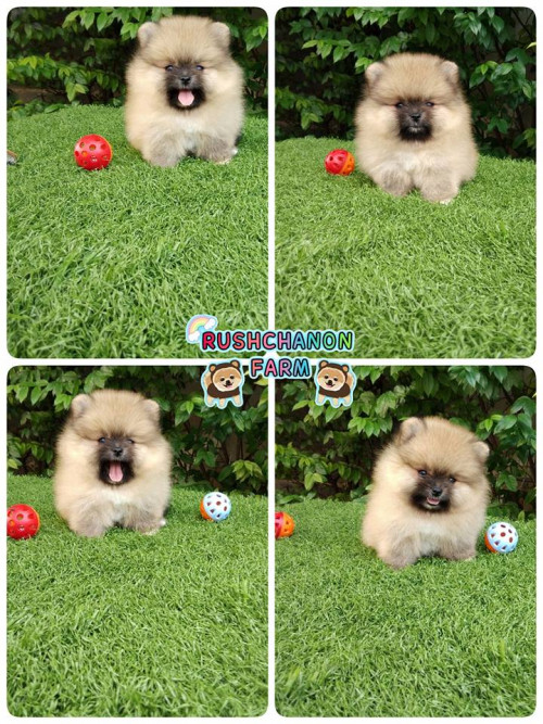 43663906 2098893113757977 1552675890624724992 n