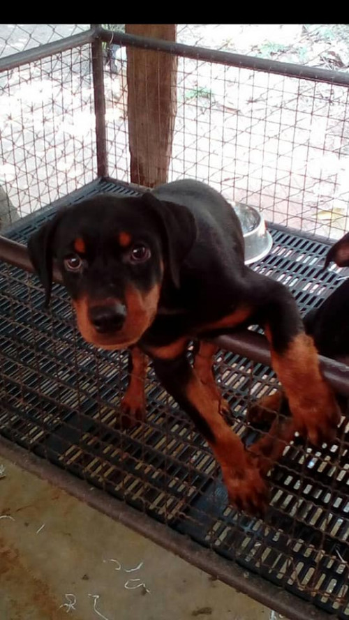 43712994 397948990743480 1389834095382495232 n