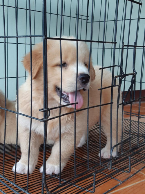 45014921 464452874043893 7100905460957446144 n