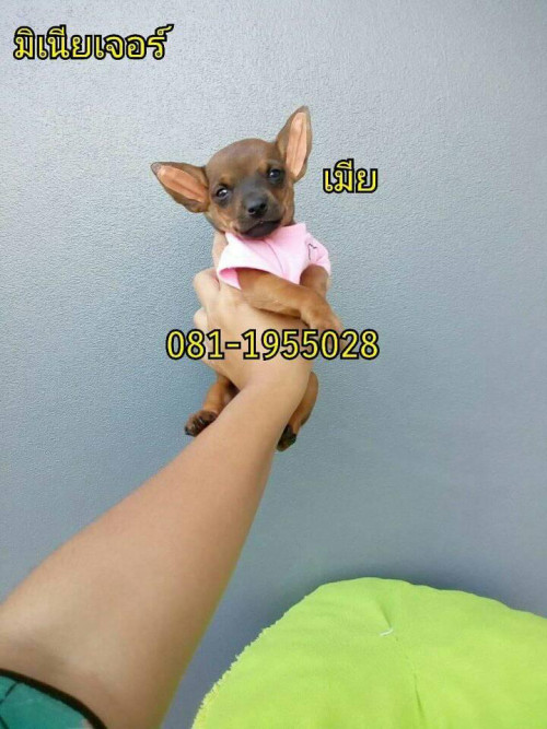 45463017 347989219287566 8035362857052798976 n